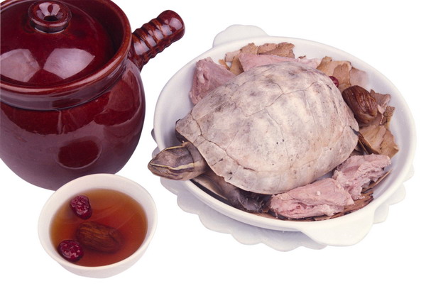 饮食文化图片-生活百科图 乌龟 红枣 煲汤,生活