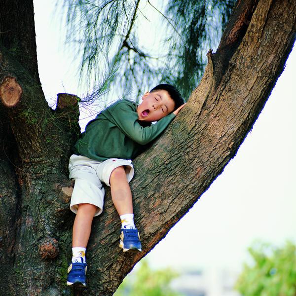 儿童世界图片-人物图 短裤 树杈 哈欠,人物,儿童