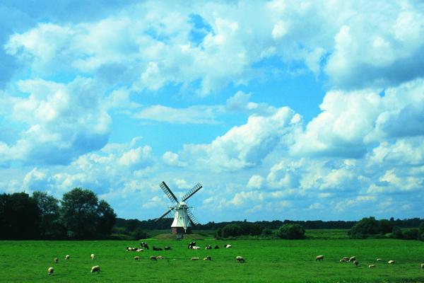田园风光图片-自然风景图 草地 风车 荷兰,自然