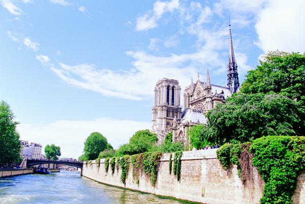 法国巴黎图片-世界风光图 河流 植物 树藤,世界
