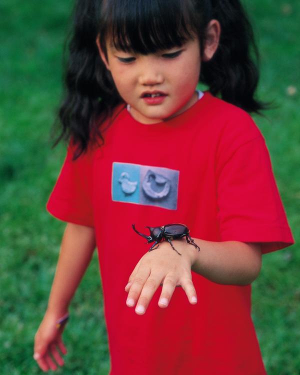 儿童宠物图片-动物图 女孩 蟋蟀 害怕,动物,儿童