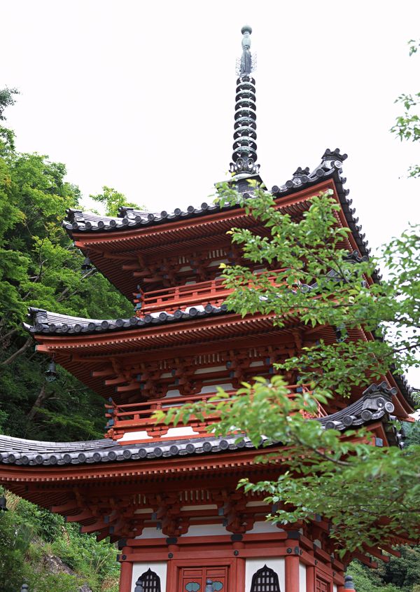 日本古建筑图片-建筑图 亭子,建筑,日本古建筑
