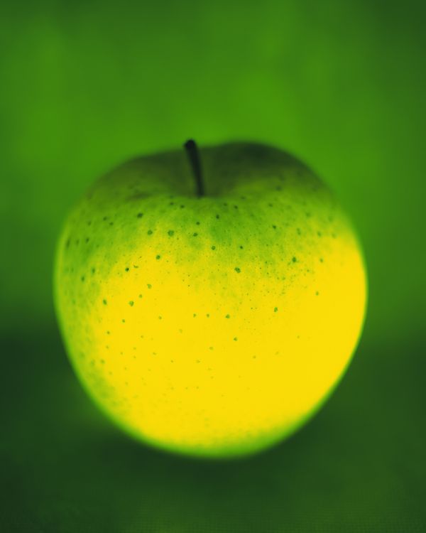 神奇的水果图片-静物系列图 黄苹果 果皮 黑把
