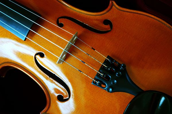 小提琴图片-艺术图片图 乐器 吉它 琴弦,艺术图