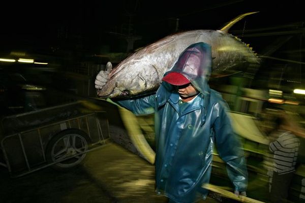 台湾生命力图片-文化图 背扣 鲨鱼 渔民,文化,台