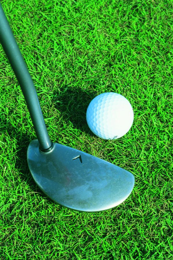 休闲高尔夫图片-运动图 高尔夫球 白色 绿草地