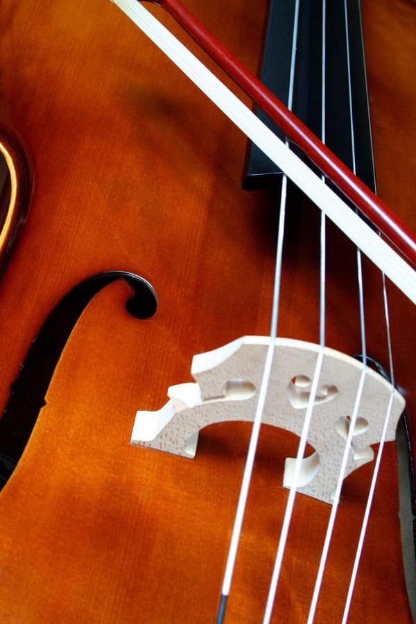 小提琴图片-艺术图 琴弦 木头 琴身,艺术类,小提琴