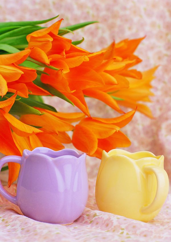 情侣婚姻物品图片-喜庆婚姻图 花朵 鲜花 彩杯